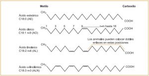 comparativa ácidos